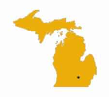 Michigan State Standards