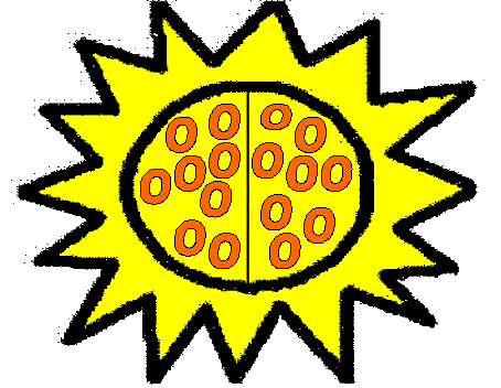 FREE Activity – Patterns in the Sun
