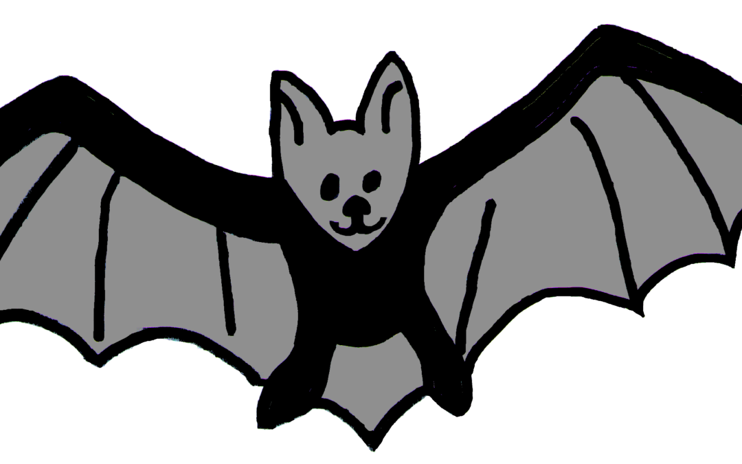 FREE Activity – Bats in the Barns